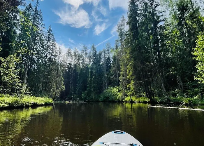 Kamp Karula Stay - Camper By Lake Odri, Sups Included!